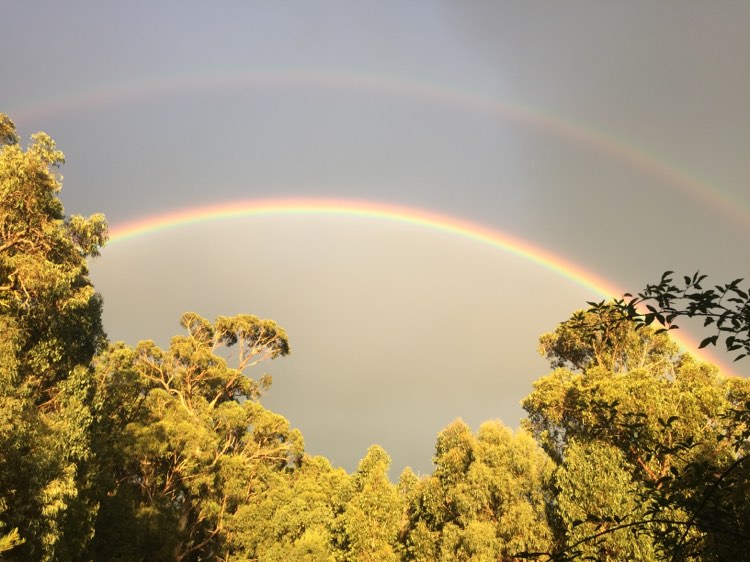 Off-grid home in Healesville Yarra Valley — Earth Aya Energy Reiki studio and workshop space