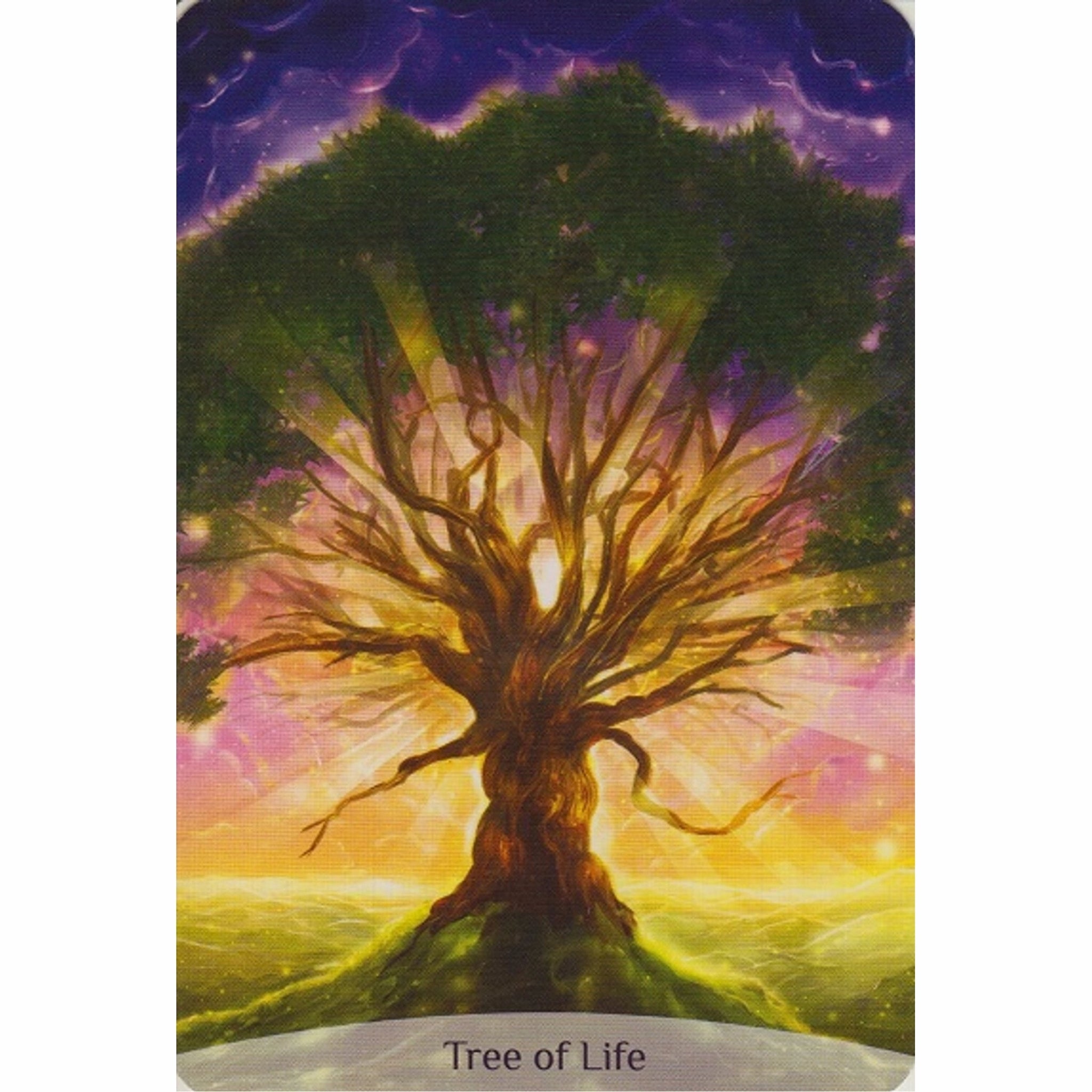 Sacred Power Reading Cards – Self-Empowerment and Healing image 6