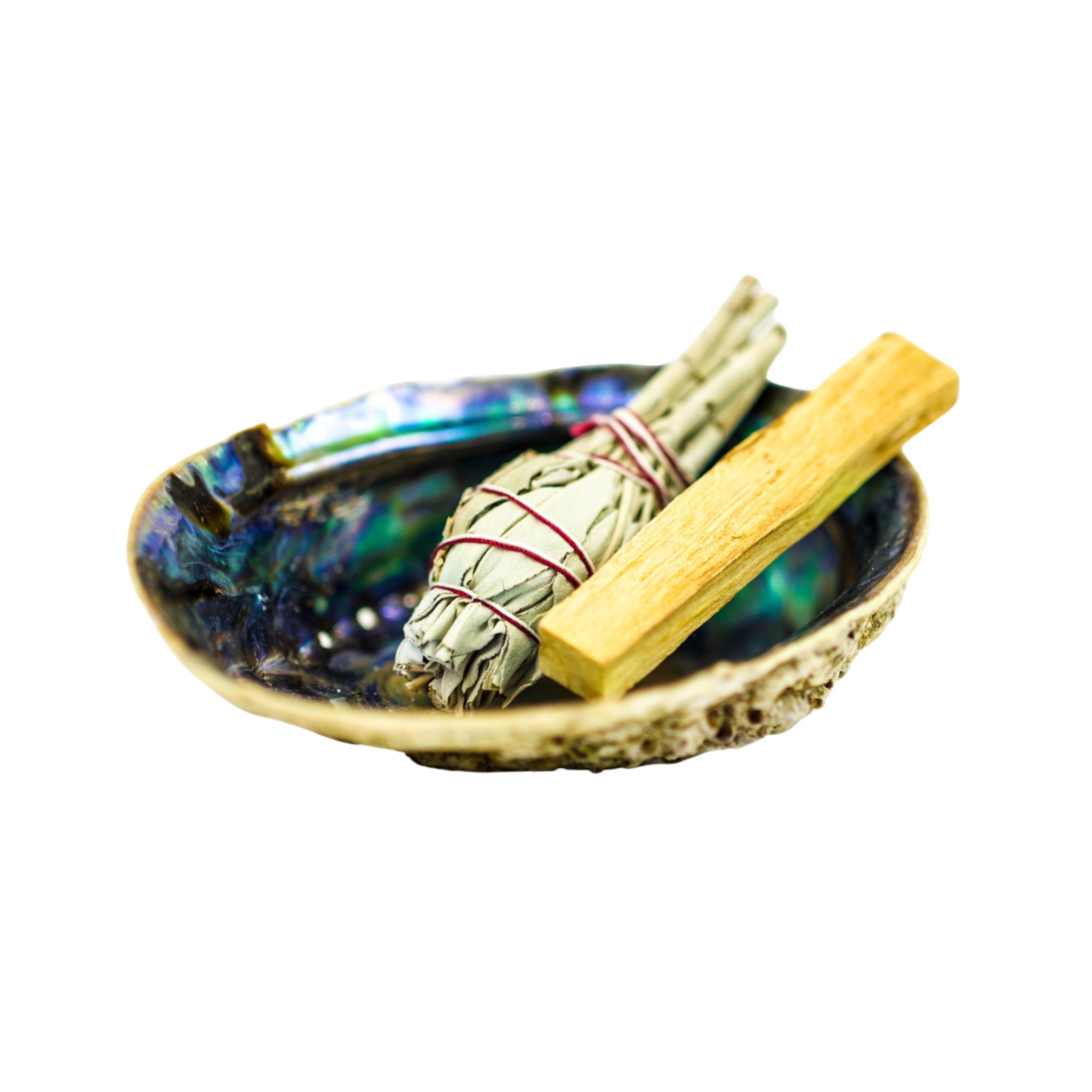 Smudge Kit with Abalone Shell | Earth Aya Energy | Australia