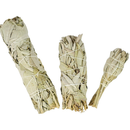 White Sage Smudge Stick image 1