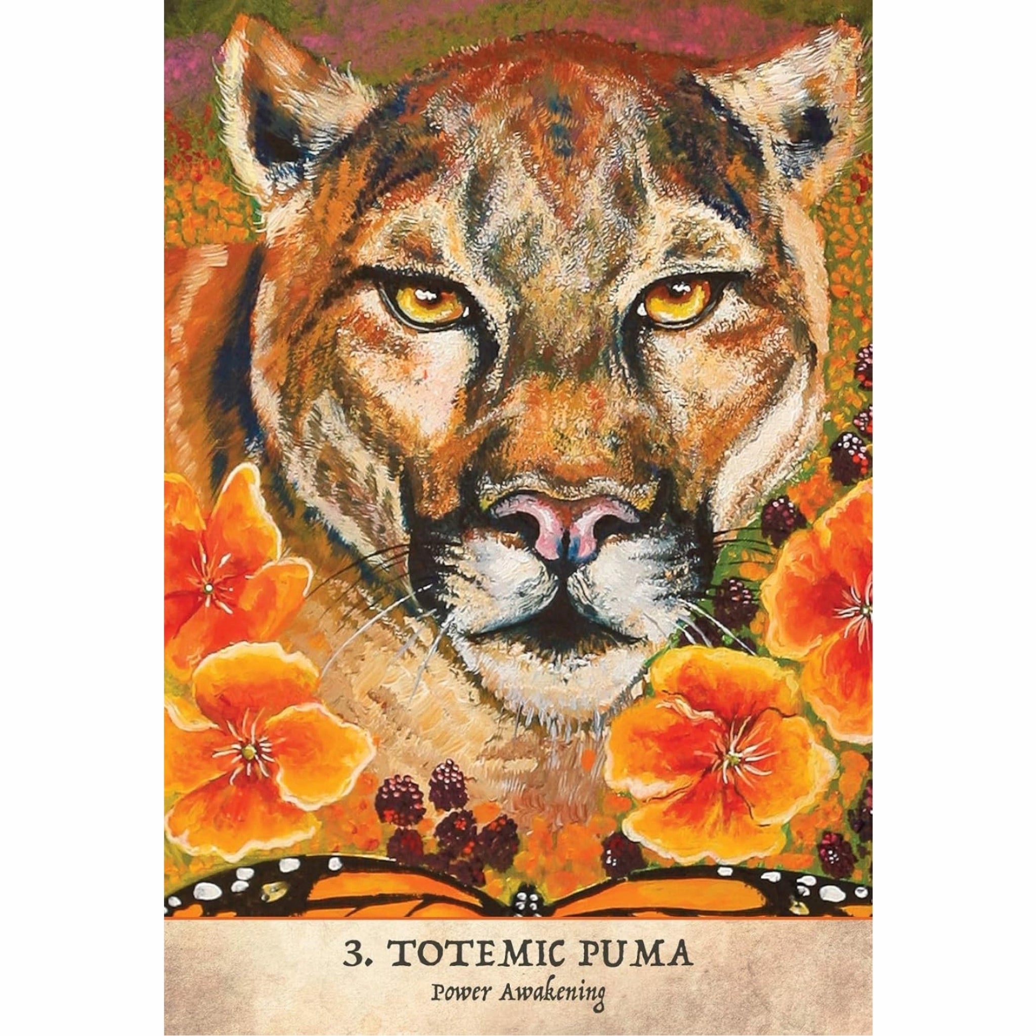 Earth Warriors Oracle – Sacred Guardians of the New World image 2