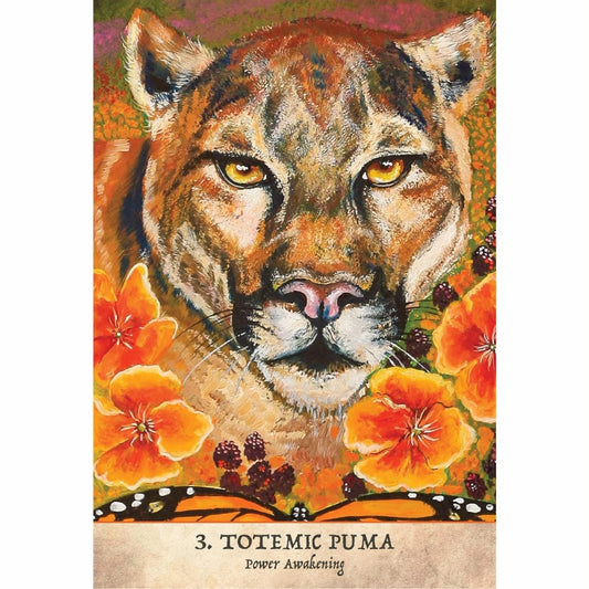 Earth Warriors Oracle – Sacred Guardians of the New World image 2